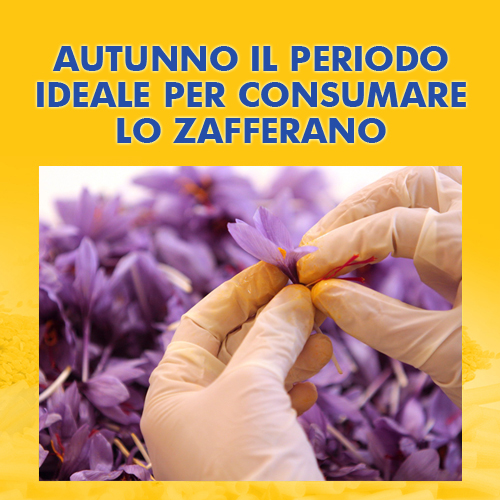 30settembre zafferano3cuochi 2014