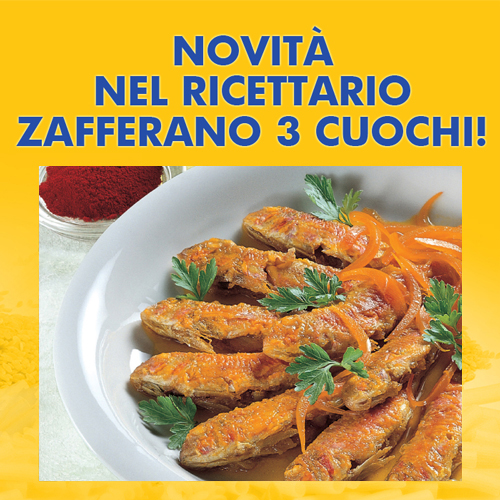 ZAFFERANO-3-CUOCHI-15 set2014